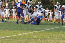 Enlarge photo 528