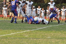 Enlarge photo 529