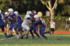 Enlarge photo 541