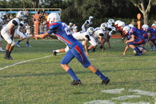 Enlarge photo 561