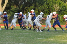Enlarge photo 595