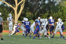 Enlarge photo 599