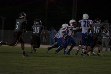 Enlarge photo 117