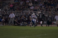 Enlarge photo 119