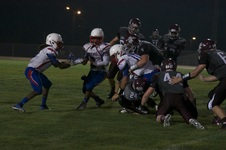 Enlarge photo 238