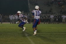 Enlarge photo 305