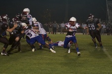 Enlarge photo 309