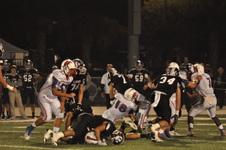 Enlarge photo 254
