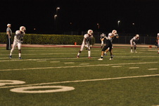 Enlarge photo 402
