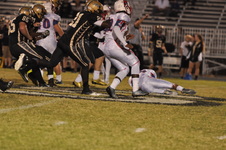 Enlarge photo 45