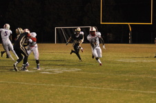 Enlarge photo 203