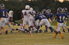 Enlarge photo 40