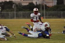 Enlarge photo 48