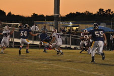 Enlarge photo 97