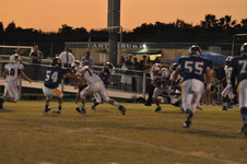 Enlarge photo 98