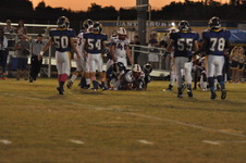 Enlarge photo 102