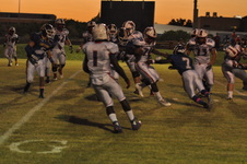 Enlarge photo 130