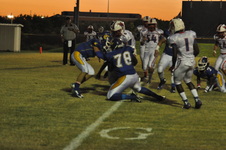 Enlarge photo 133