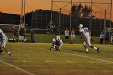 Enlarge photo 147