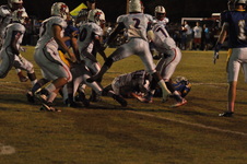 Enlarge photo 202