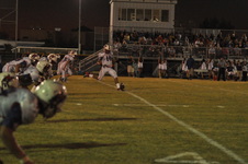 Enlarge photo 238