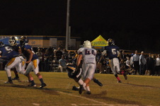 Enlarge photo 275
