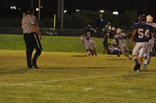 Enlarge photo 313