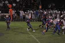 Enlarge photo 51