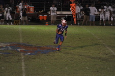 Enlarge photo 54
