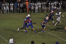 Enlarge photo 73