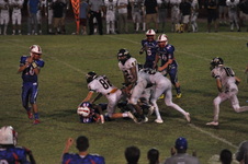 Enlarge photo 81
