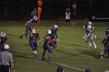 Enlarge photo 83