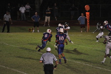 Enlarge photo 88