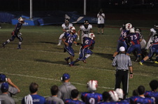 Enlarge photo 99
