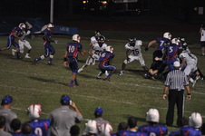 Enlarge photo 112