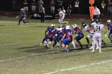 Enlarge photo 232