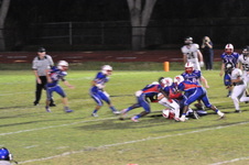 Enlarge photo 239