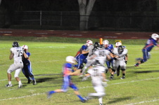 Enlarge photo 244