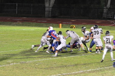 Enlarge photo 246