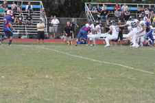Enlarge photo 284