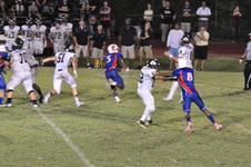 Enlarge photo 135