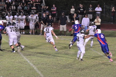 Enlarge photo 137