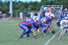 Enlarge photo 153
