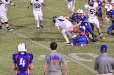 Enlarge photo 168