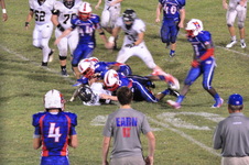 Enlarge photo 176