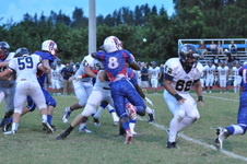 Enlarge photo 648