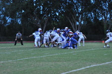Enlarge photo 402