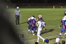 Enlarge photo 307