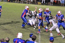 Enlarge photo 537