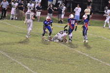 Enlarge photo 1035